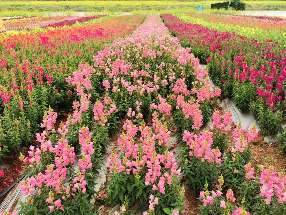 zaAKw0ea_H_k3ysDjiXr8Eh8BWQOVw7vG6NDB-UZjs7H0bQ0sMfshvHf4_3dqpvS