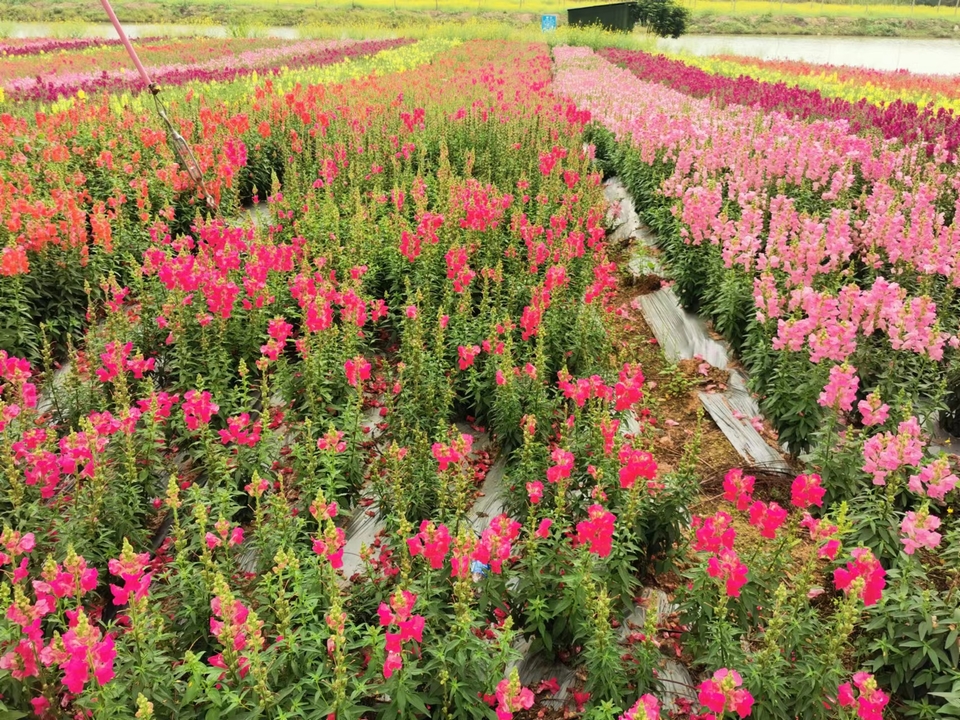 zaAKw0ea_H_k3ysDjiXr8JpC8NU8z52EFZLwSwz9T7tF6qfM1MNn4PFWHubj0s_R