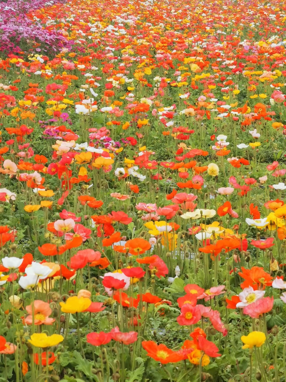 zaAKw0ea_H_k3ysDjiXr8PRy5kDz39RLZjIjaOxhp-uymc6kxiIWbT3xF_kiMbdZ