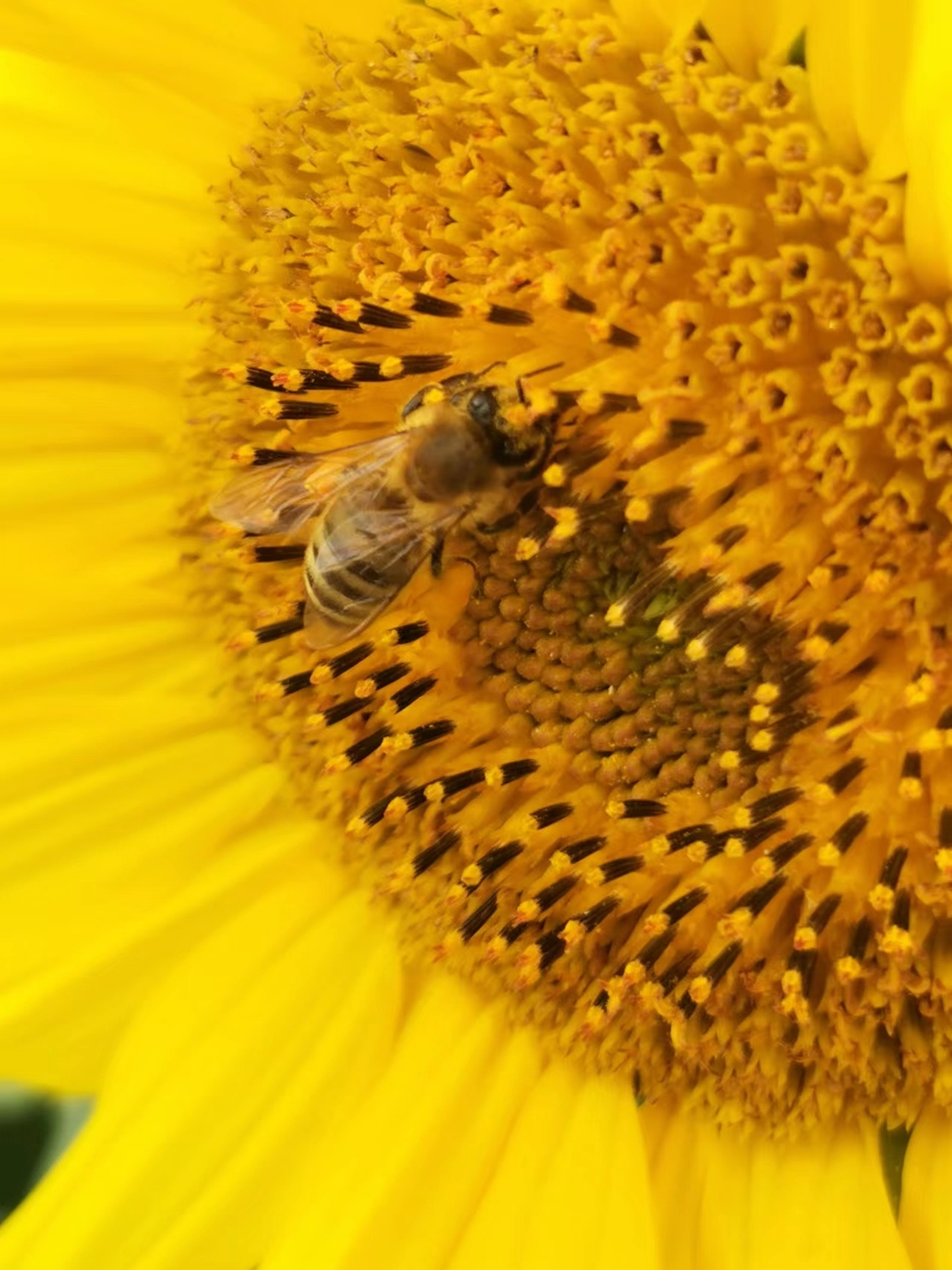 zaAKw0ea_H_k3ysDjiXr8LY8Ouv91eOXr_Elxu7fODhQDimYZkLCVj212u0qDcOL