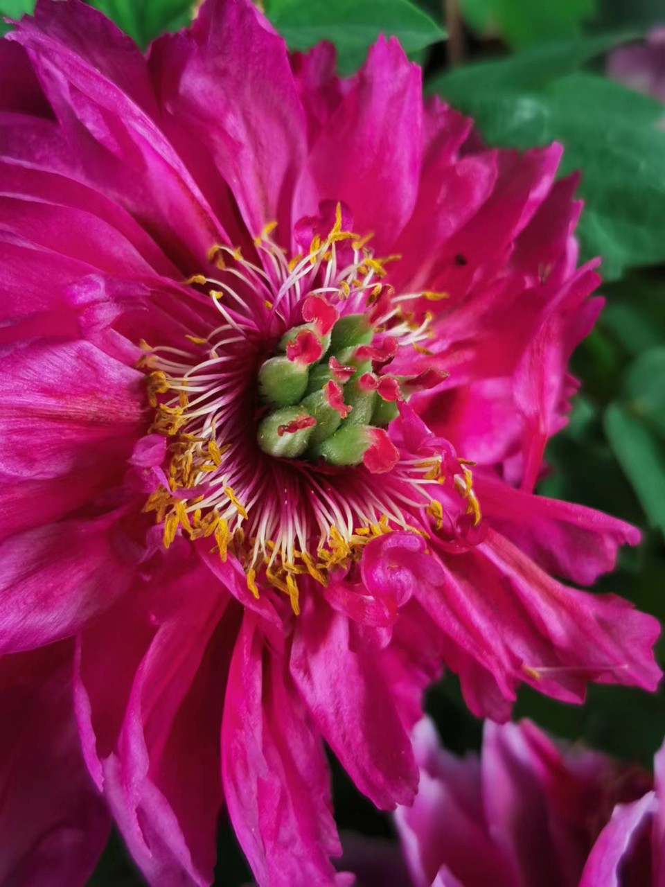 BYmQ4S1o32PCWdtVSnrEqhhf40D8sq2YgRJ5Tv9LfSrIQWMn0XszM9DZEYSdtU9E