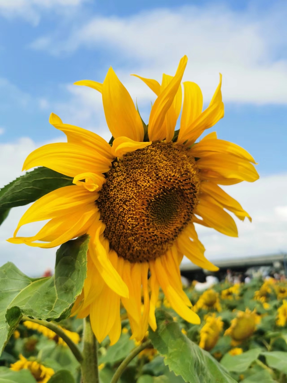 BYmQ4S1o32PCWdtVSnrEqoli1Ie_Qr6y4ac8mGDCFOxHlZ78ysm-nuf7l2gQrxAR