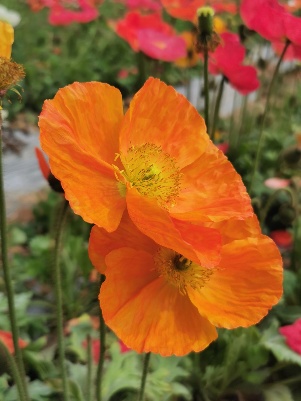 BYmQ4S1o32PCWdtVSnrEqiZjNsQrw07tUe2cOjYvoC9gIuwfIbYGbKHOdTg5kjo1