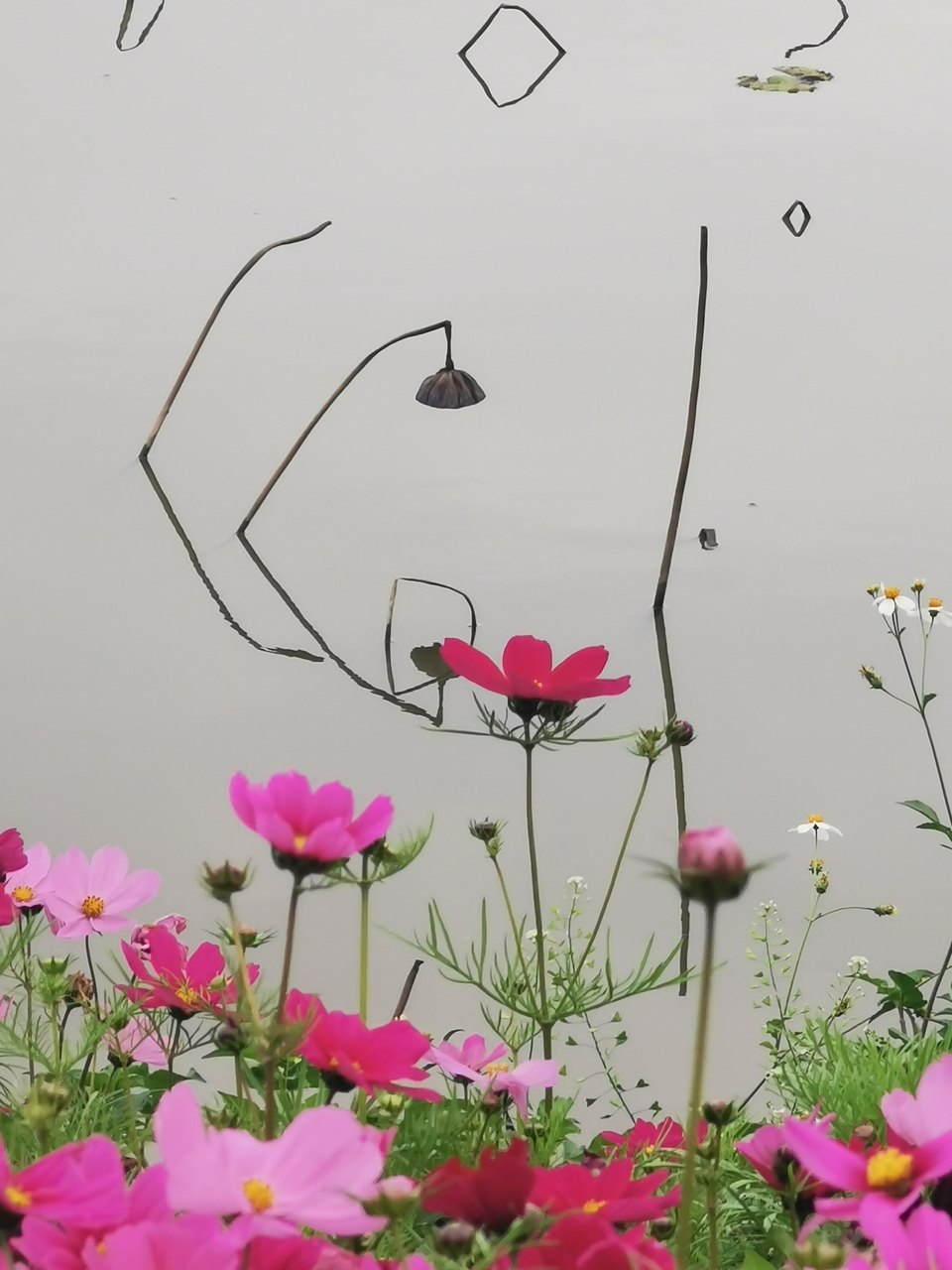 BYmQ4S1o32PCWdtVSnrEqmRmtw9Qm-_2-5g8eUdbgCEeX4C_-LiNNm6cndeQgofg