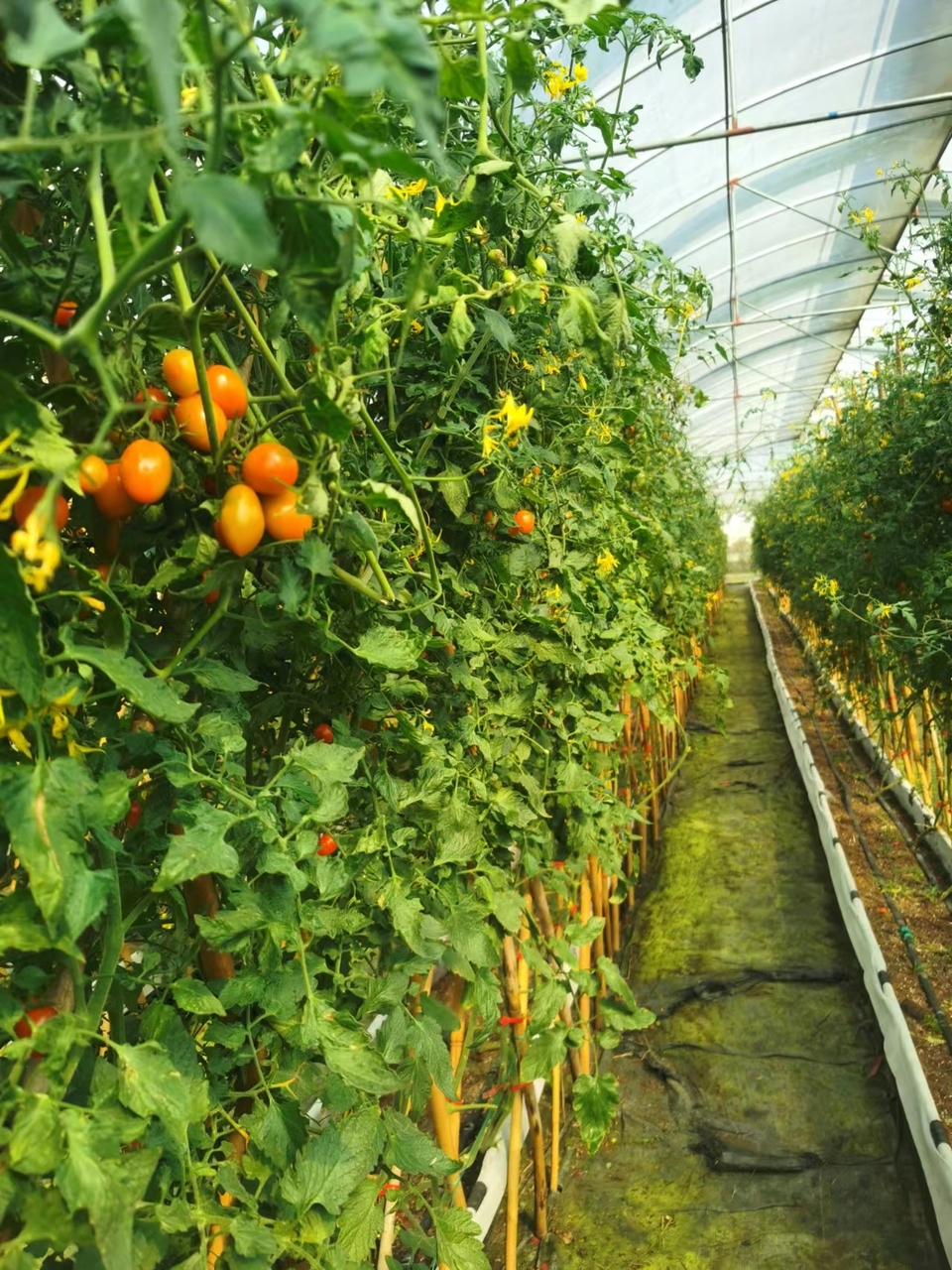 AwldxqepFGBbD2ZTvQ0ESgs3t4qO7uLLH2woUvksS1ejJ-WnMTUjz7TIExWpPISP