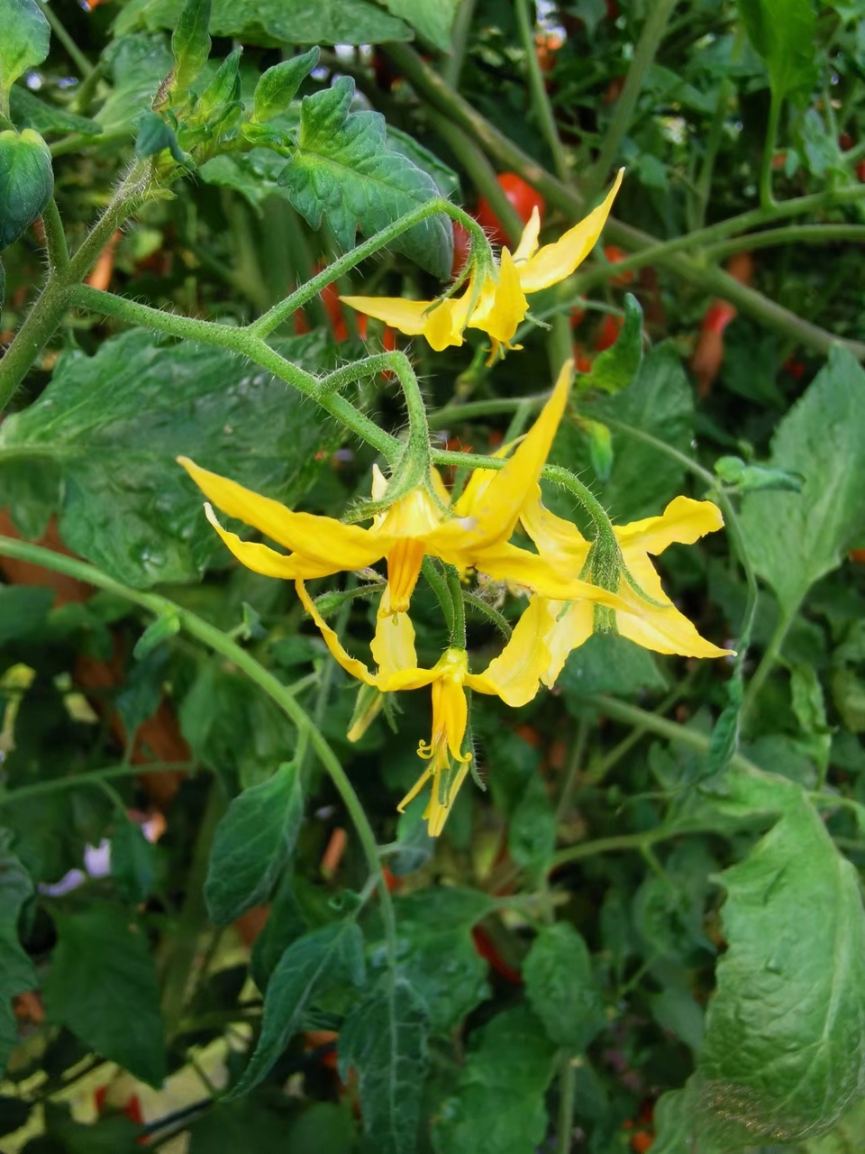 AwldxqepFGBbD2ZTvQ0ESrxx7GrXTB2sh7eBni0ssN10wHFbFTDfIa6sz0lbQT00