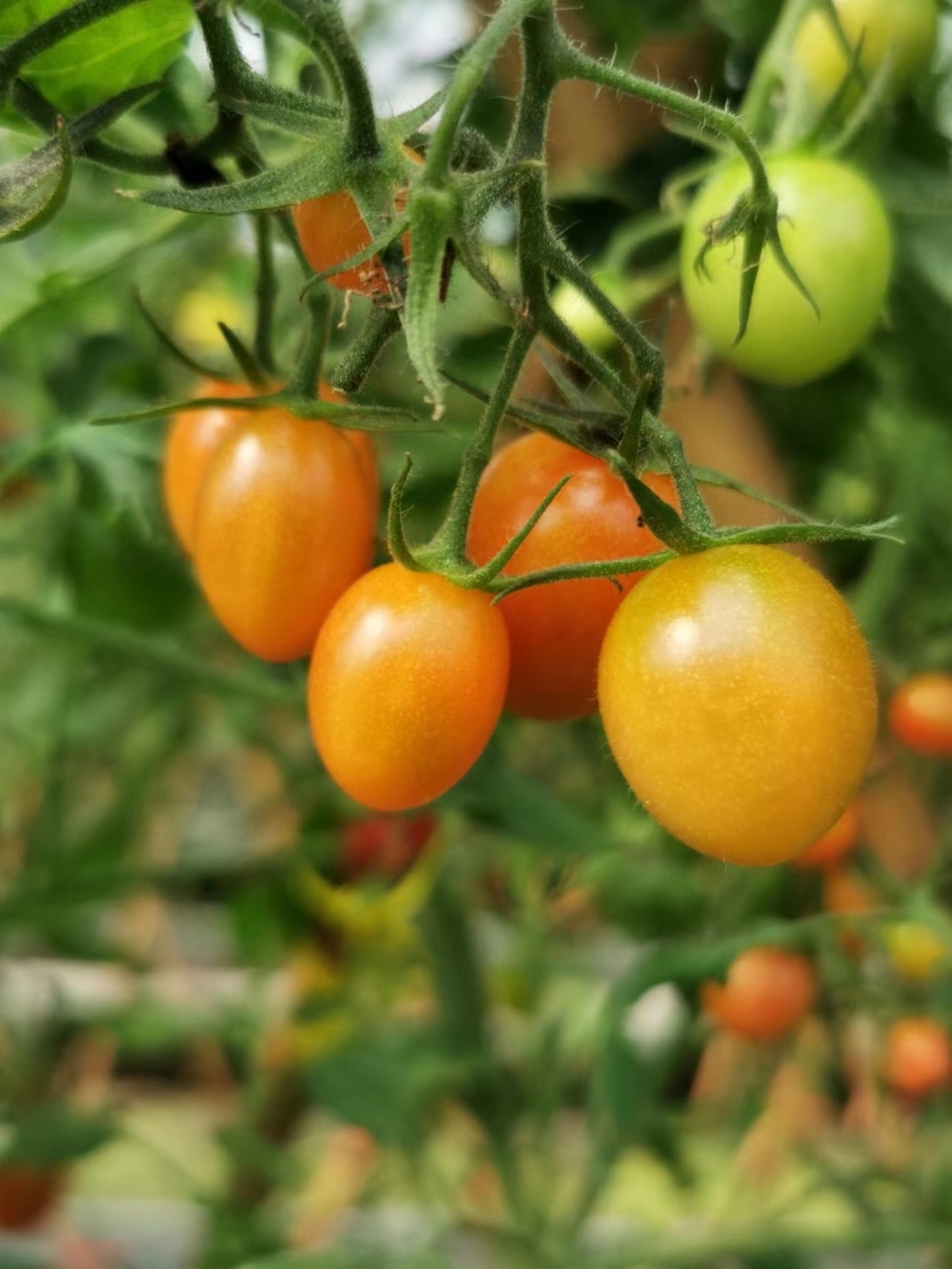 AwldxqepFGBbD2ZTvQ0ESogVcAbYUcj6bJI61r3Y4eu7GtBozL9wz_rIl_meX86Z