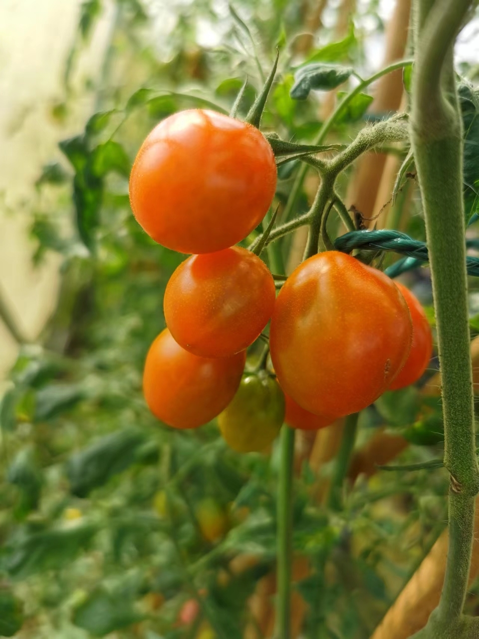 AwldxqepFGBbD2ZTvQ0EShNIcu4c5WIa5yojoZH245G1koPBqsdzaP9RZZAQ74eF