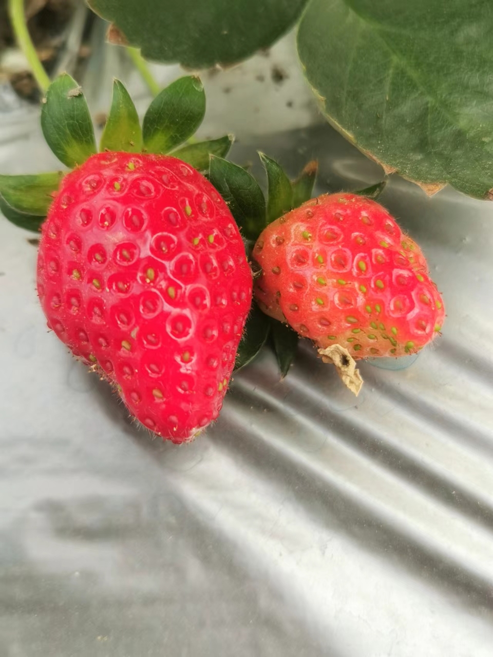 AwldxqepFGBbD2ZTvQ0ESnX0eJnDYS8fAzvDlVXfq5Wl4woKLpe-8Jm6S7OvYnWZ