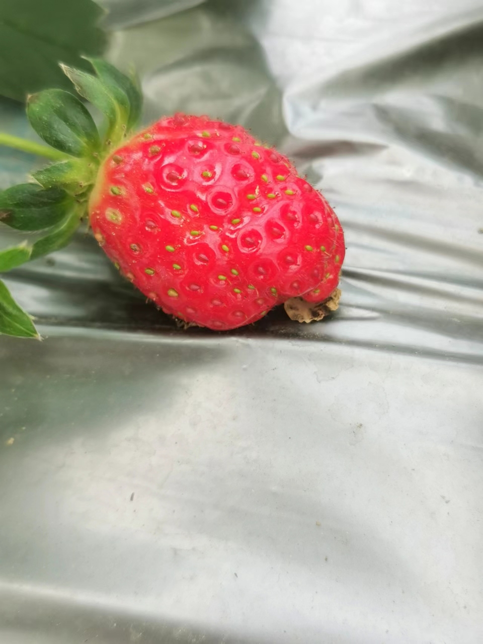 AwldxqepFGBbD2ZTvQ0ESpHMwG3kt2XDPGuQCWUmDPopn9eJdApIywjB5EbWX9xE