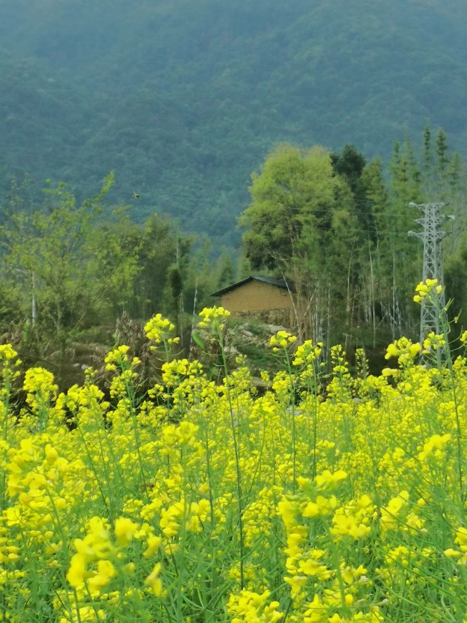 AwldxqepFGBbD2ZTvQ0ESvrtZMuiSJW5oGX8tV4F9_84rNstjanHK5Rvba97PIjm