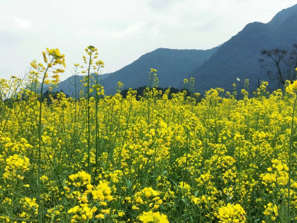 AwldxqepFGBbD2ZTvQ0ESo8af9cubpIstH89qyAh6XUGjUu9FDQAVqf3s10gqqa3