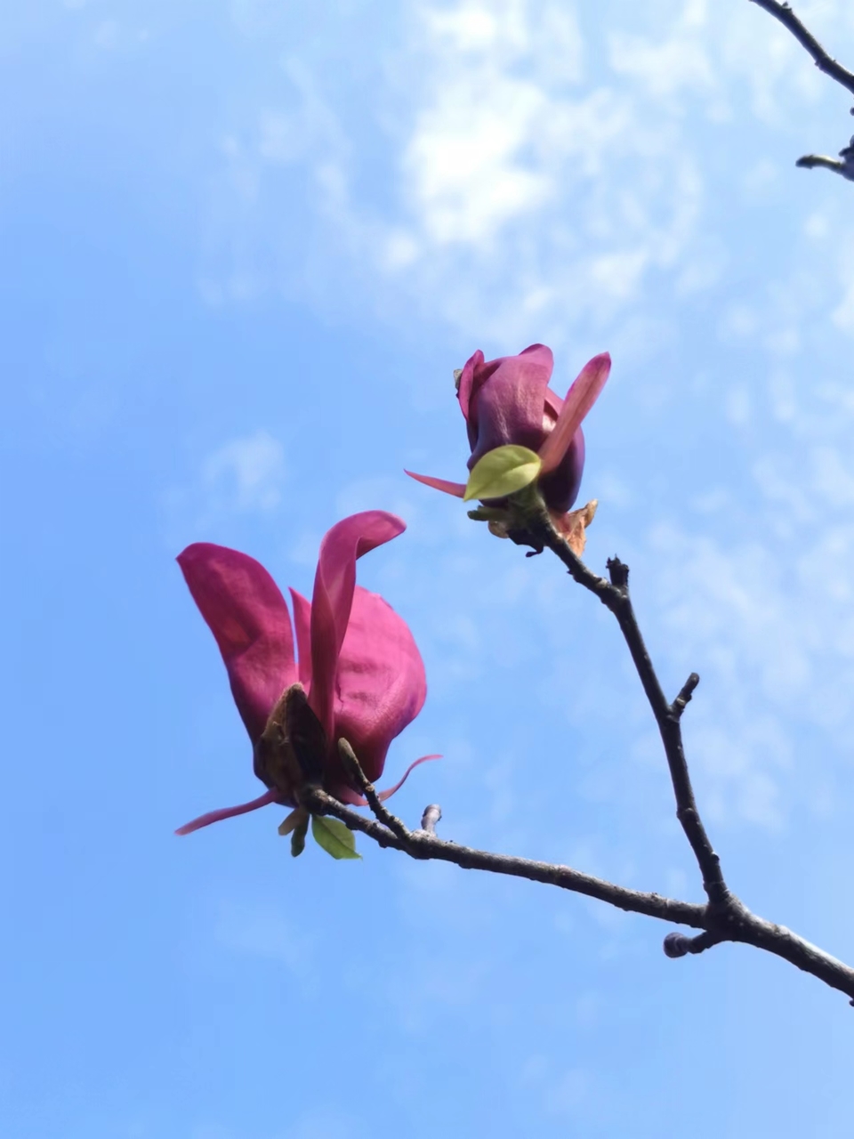 AwldxqepFGBbD2ZTvQ0EStN24qZ924geKmoC0f2whapPEL-XYLYfJs0htB-9rXCN