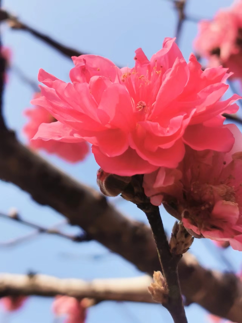 AwldxqepFGBbD2ZTvQ0ESkXBprKTkgkOM-JDaA_3DNIGP3pWZHtzdbbpfZX9n3TZ