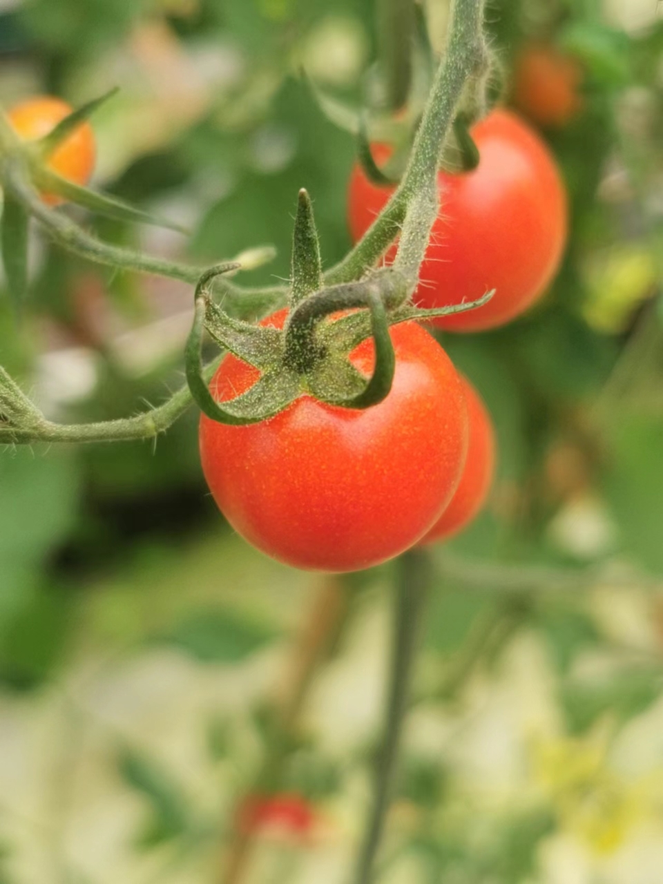 e9LShOHLgyVw1Gk3BrgNgTWnZXK2NUeKt_KJlOgZx_dL3fQxYZK17zTqZIOeW3_m