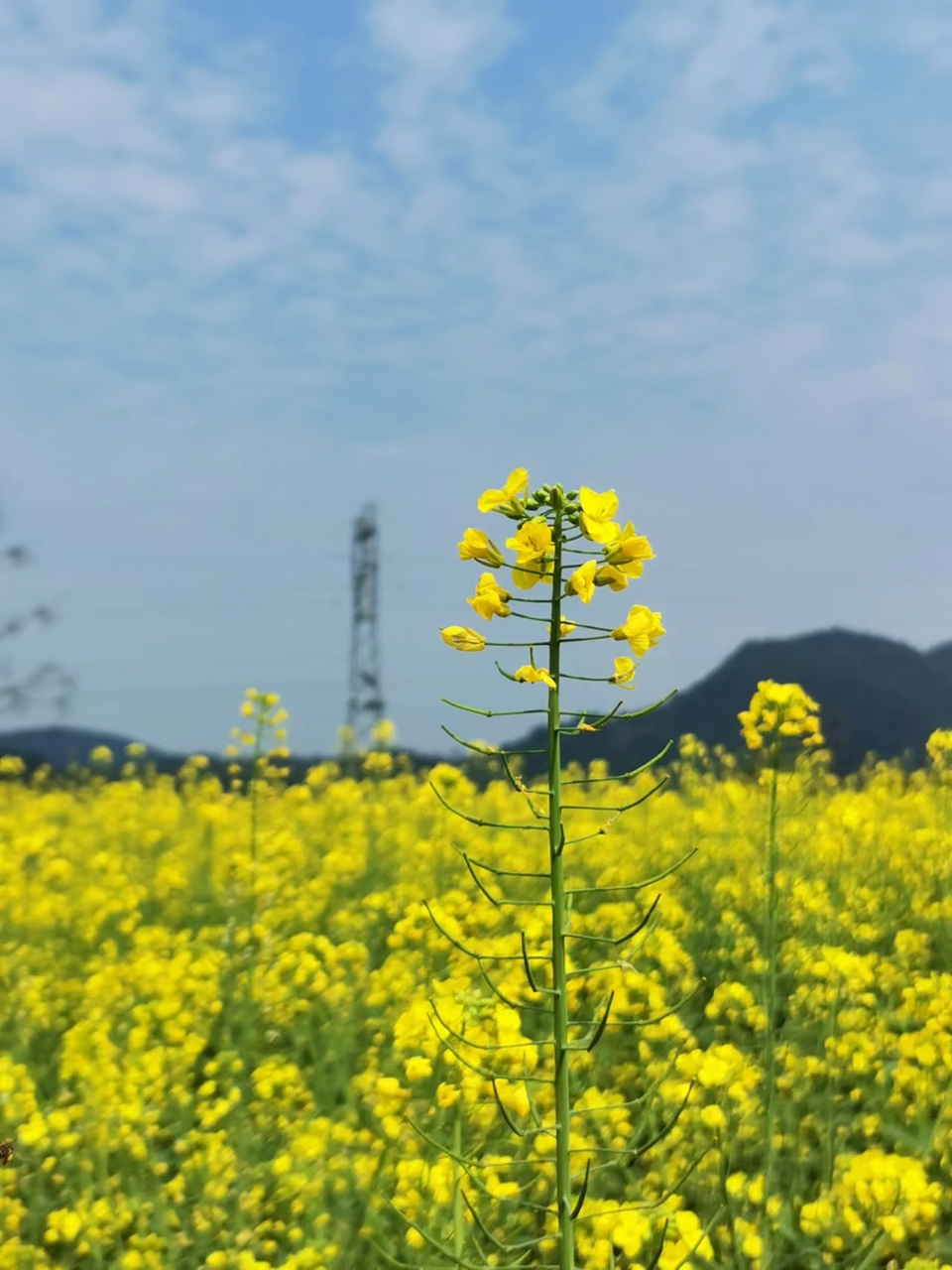 e9LShOHLgyVw1Gk3BrgNgU0M1wjcXtISe7R-cLTUhVmrBPldBSJhqMC4wR5n-9Tb