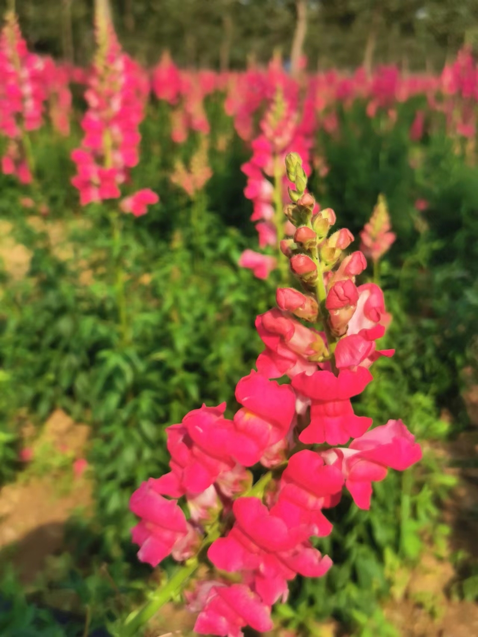 e9LShOHLgyVw1Gk3BrgNgZKi3HbCHJb6siZxpZ2XDYi6ZS2gg1Alox-qzi6MozUs