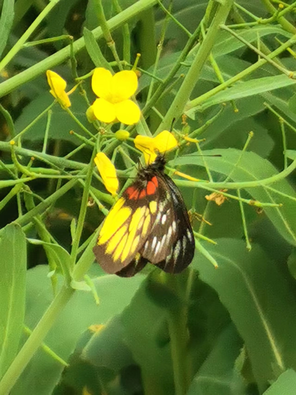 e9LShOHLgyVw1Gk3BrgNgZKArsZRRLOyFy9bW2bAQJHJz1uyjhrcKZ9U3zchhELs