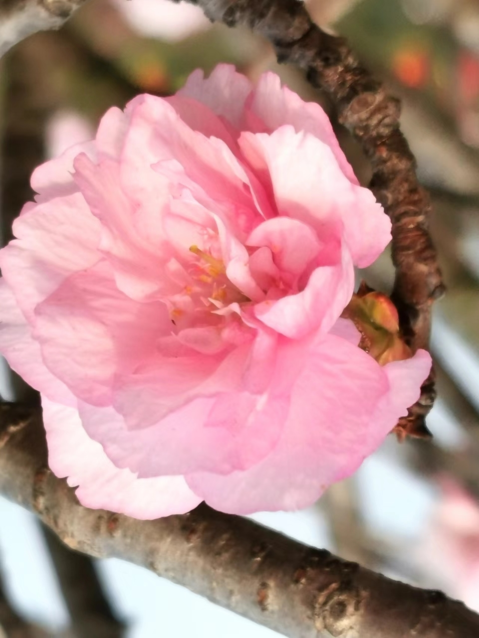 e9LShOHLgyVw1Gk3BrgNgQAG5pwDBuS0XF-KOF1KcT1h8TneMlUWcALsAQ0AWvlQ