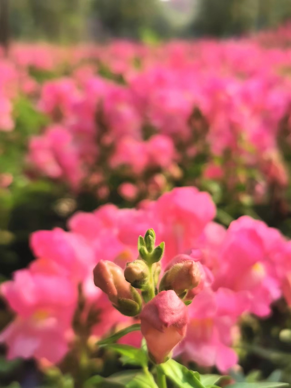 e9LShOHLgyVw1Gk3BrgNgbdNRndztT-Ig2UaaUwOEKGo0C1sPUJNb_42RN-LeKvx