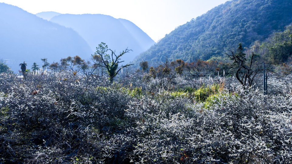 DJI_20260128160005_0043_D