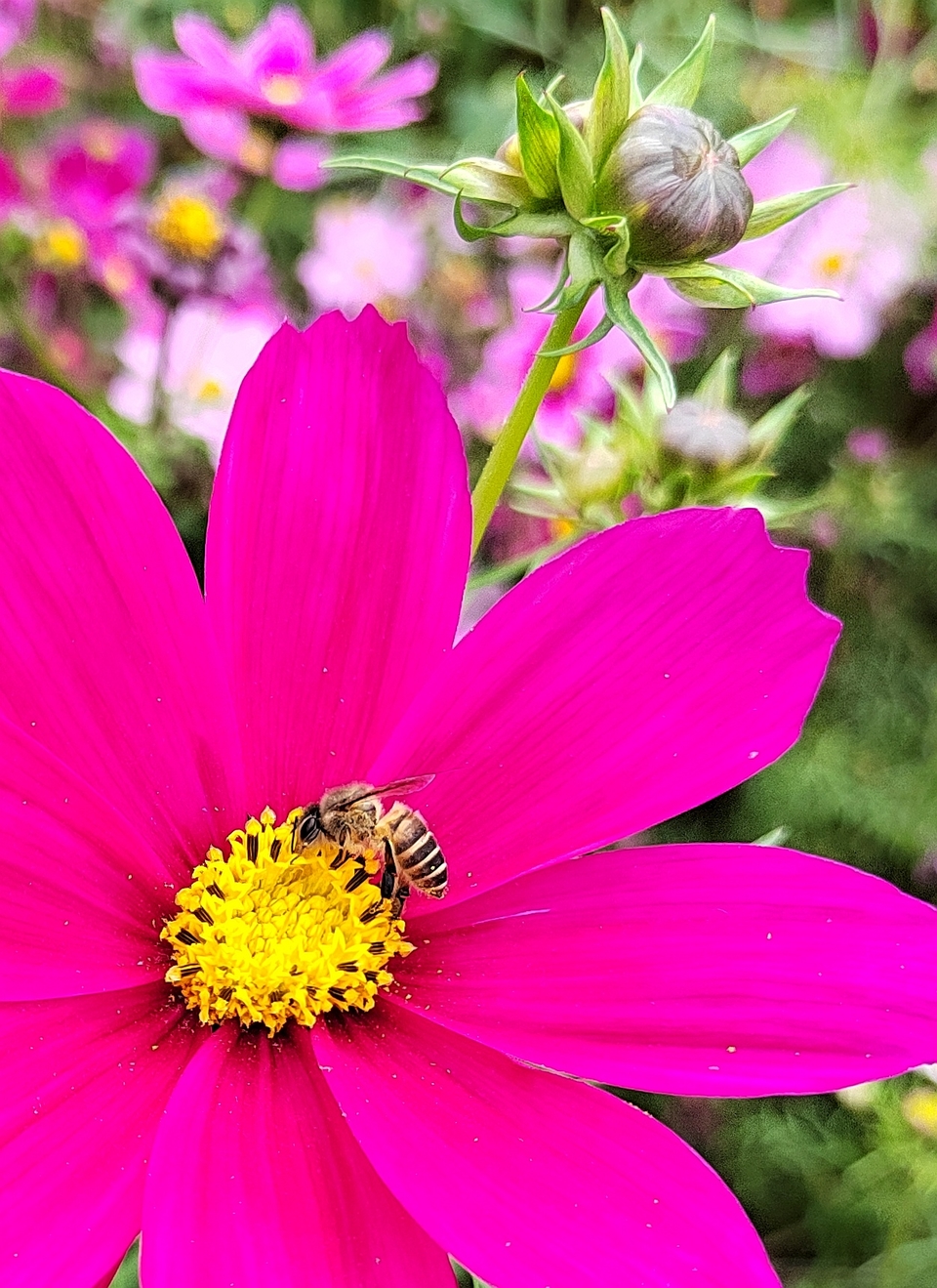 sgHt5YPXB6uD-O7du_7LiEeIwQvPD08q-4oGQvq9rDRalhL-Dno-CwCxFuMAov3C