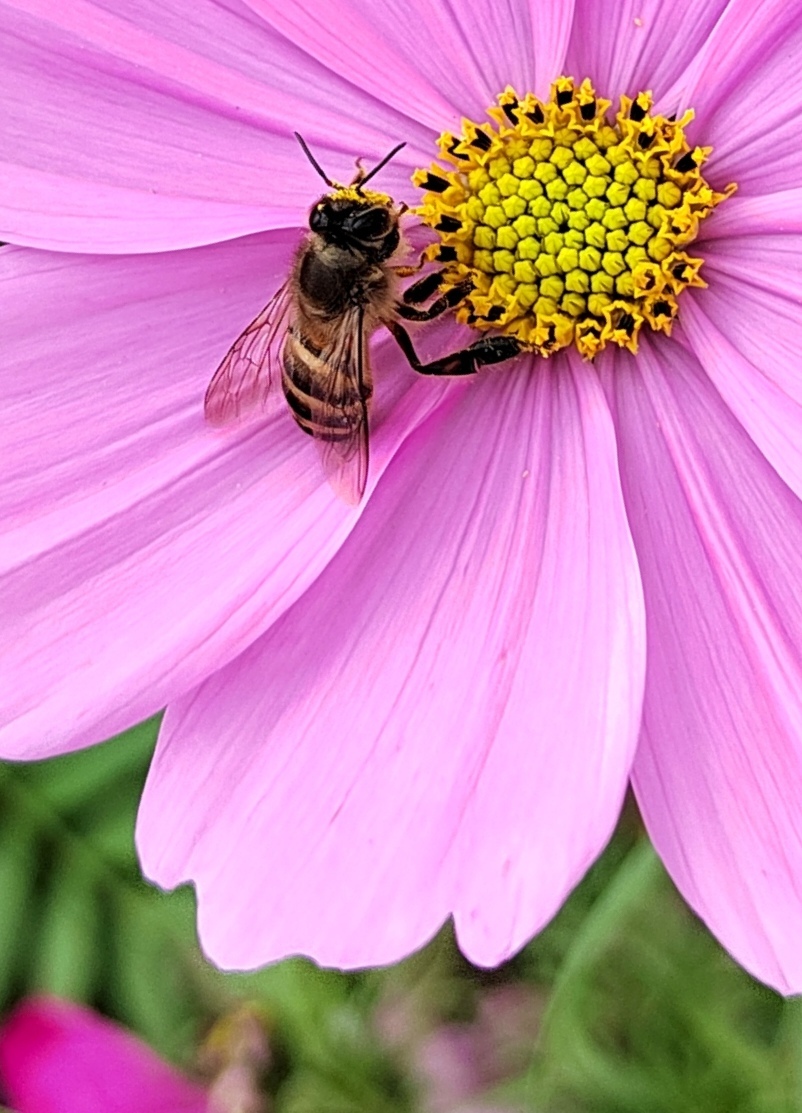 sgHt5YPXB6uD-O7du_7LiIP423BRxG6ul5INyCxOeQM25yESAxI9zHA4l9D7gSPZ