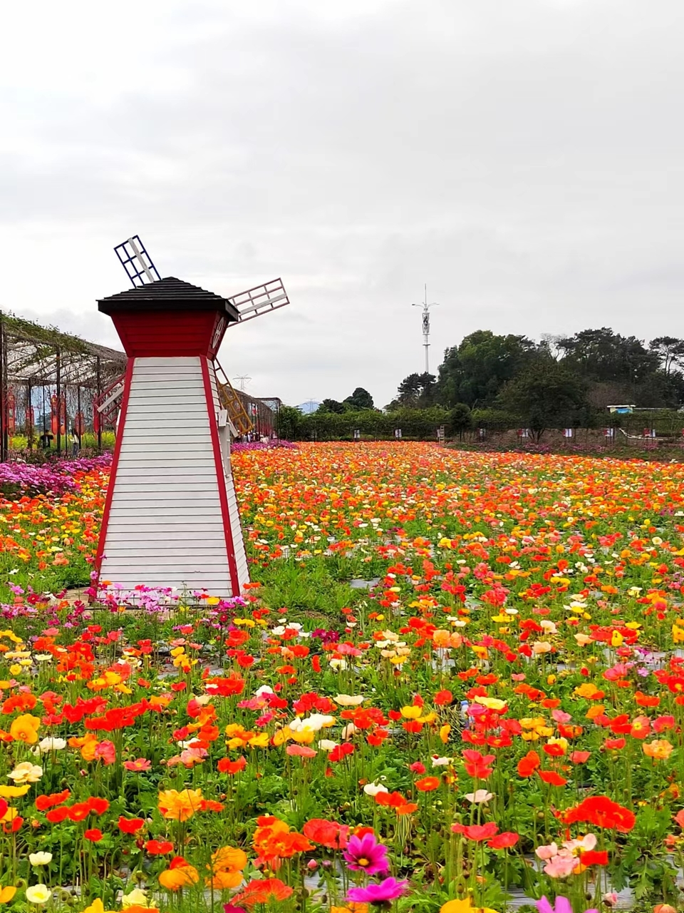 sgHt5YPXB6uD-O7du_7LiH1kz_NG7JVrswd3GnSrvWO7-0GXm_96Xi7iqAUy94T7