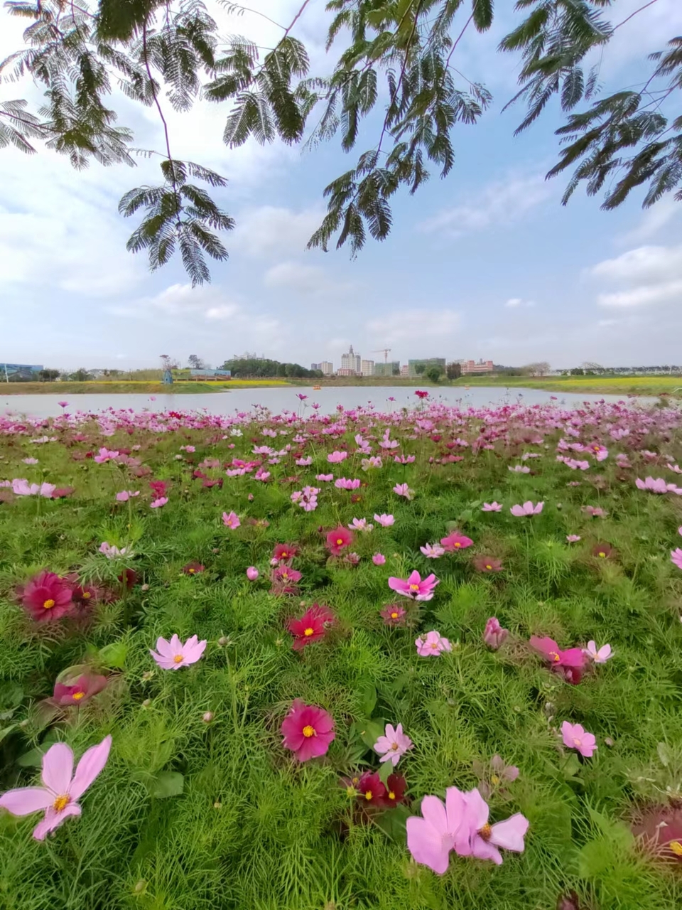 sgHt5YPXB6uD-O7du_7LiLi_Xs1Wh-AIb9PGyHJPicsu_QXtfGrnZlOcYQMCuTD8