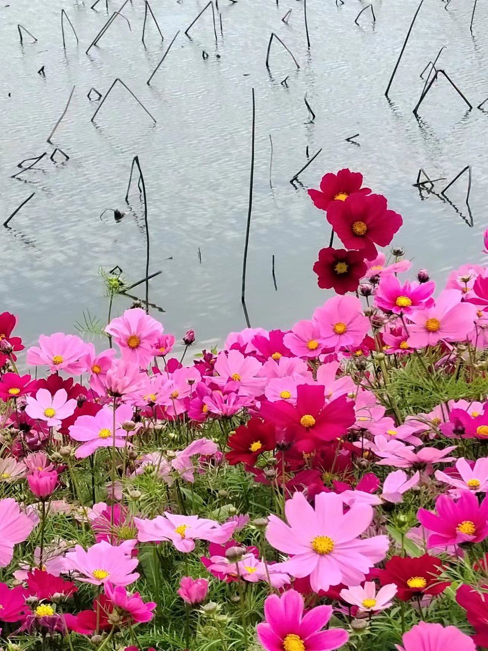 sgHt5YPXB6uD-O7du_7LiP9jbTvJF7ilap3vzQM26Ki3PcPWBfKL0d4lqJp3A7F1