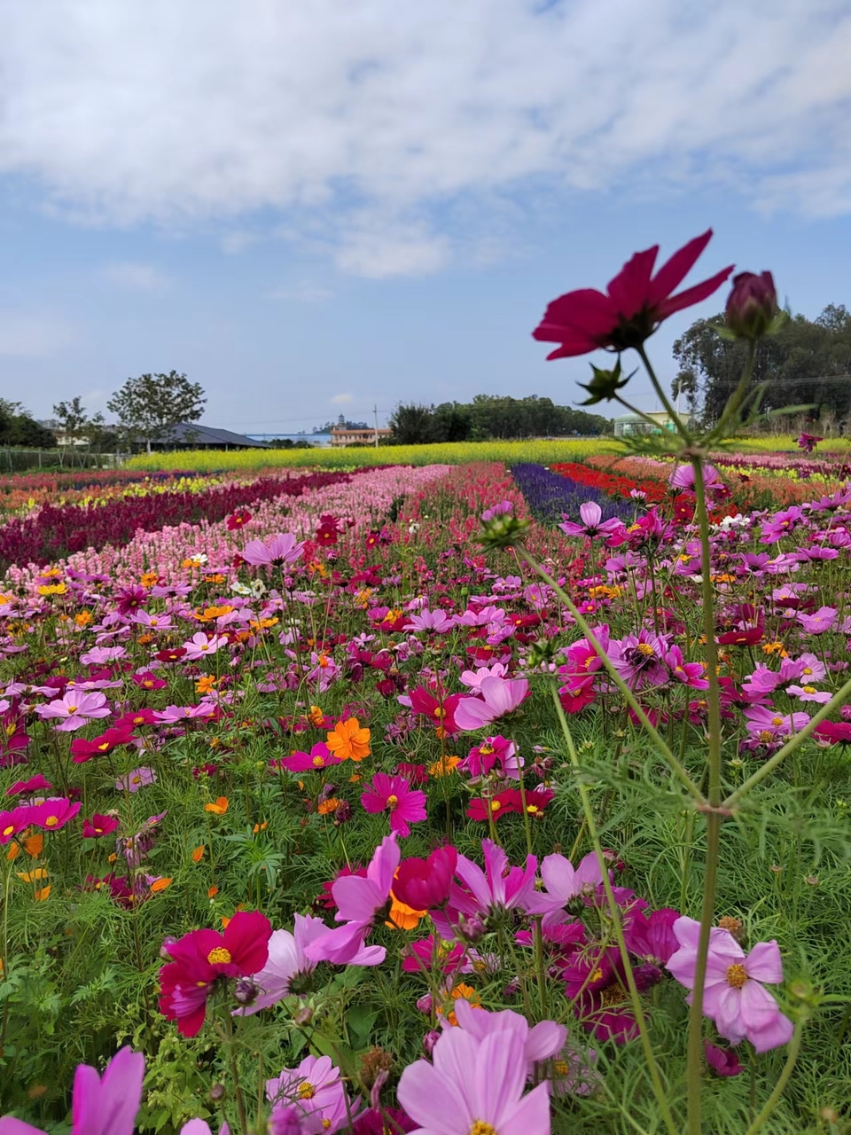 sgHt5YPXB6uD-O7du_7LiLQJ3CpKFD86V6ck8sRvLWX0HccEZeuf6WFlk-Yz2OCu