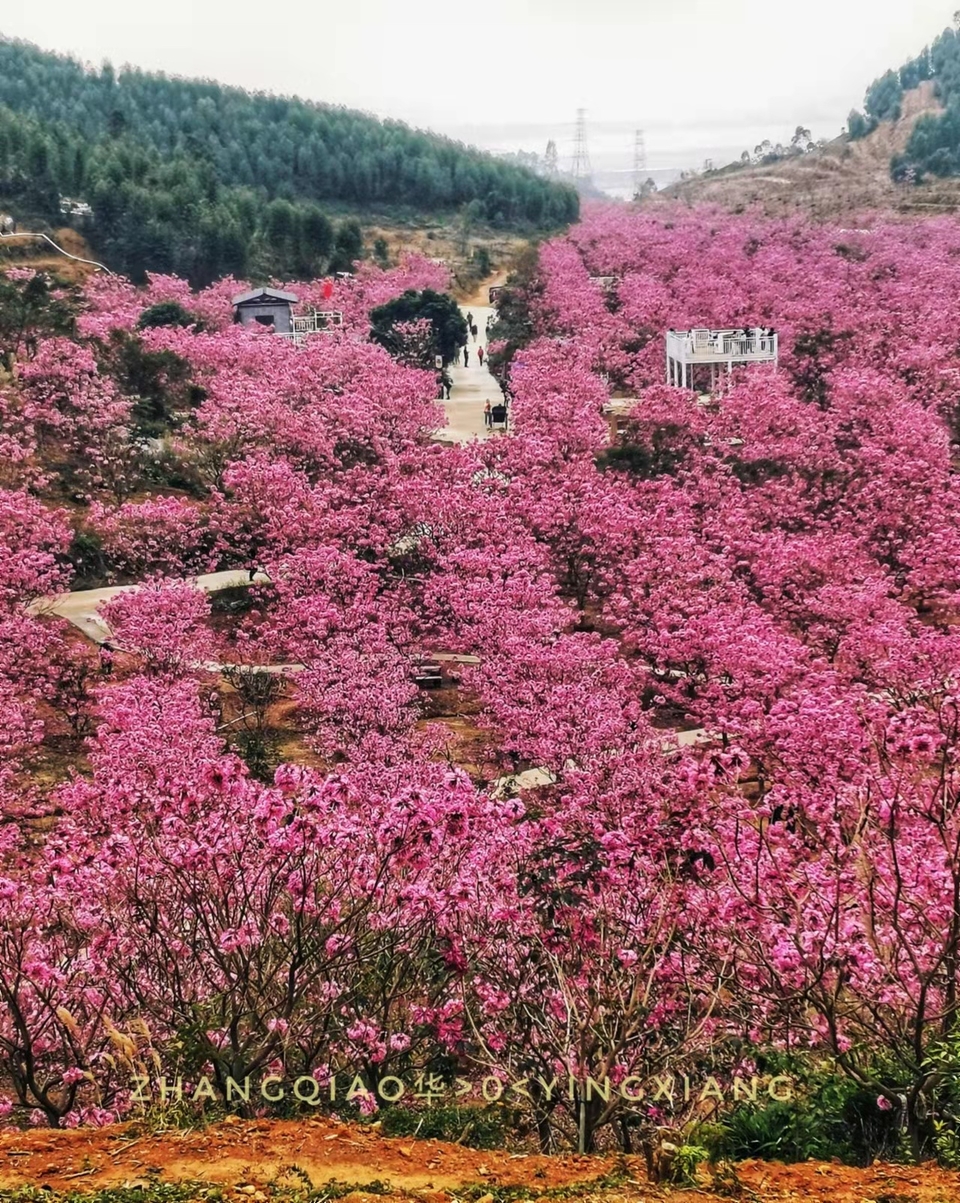 yGDpmHUCoVbJUWZ2U9dWTc4ArC80whc3uiQOo6UyWSgd0HAMRR8eX-K9IbCl8UI1