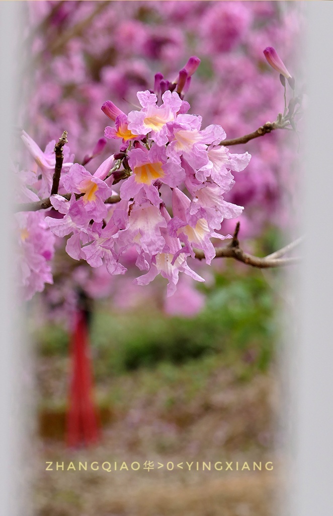 yGDpmHUCoVbJUWZ2U9dWTYZhanNKAwBkooTgy97ZUxPJMDeA2oNnuSBa-cdDS23c