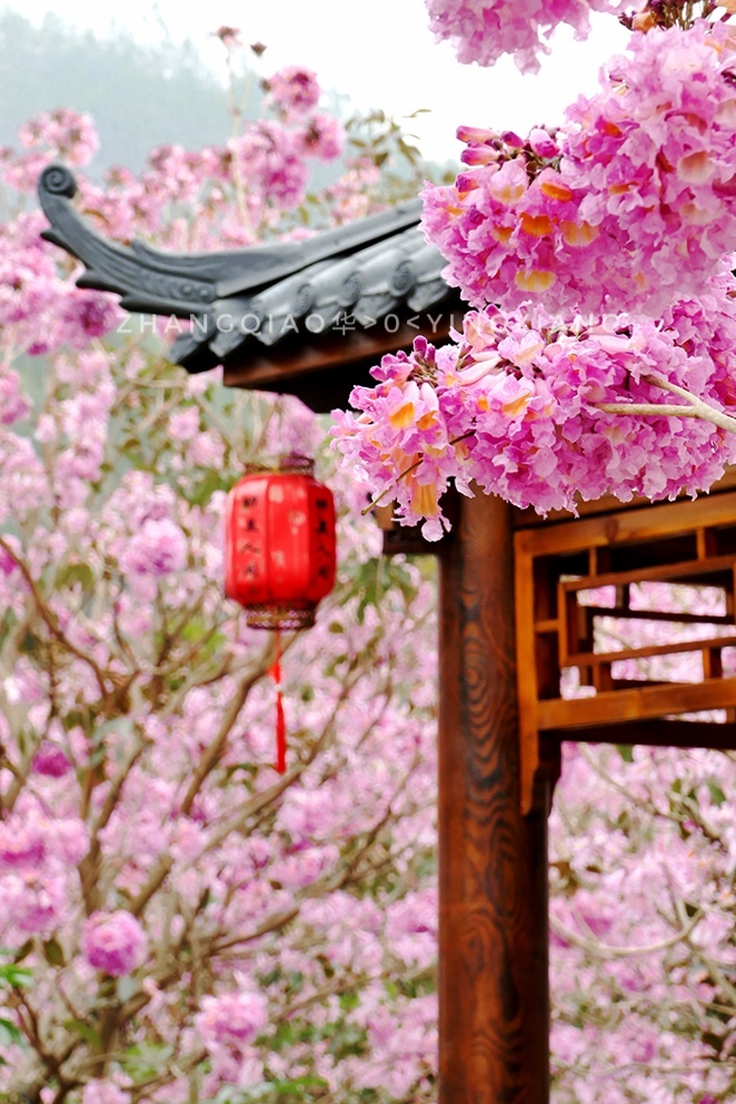 yGDpmHUCoVbJUWZ2U9dWTQt69Jh9i9J6qpWb59nVXxXtfMthzi3LzKmtY6ZofrPr