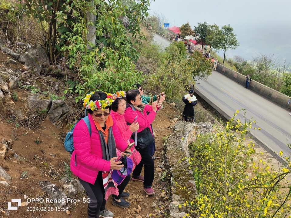 微信图片_20240301112819