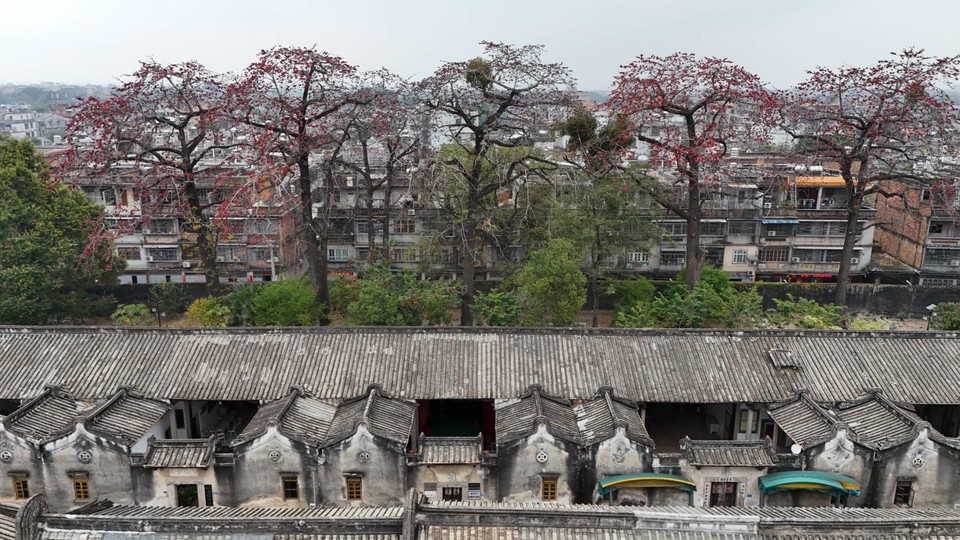 HlapRPgU9lU7zlRrSmOr6j2RyKXSRBG_BTOlNS2M8cY5RxkewmeSad_wjk7eqeyf