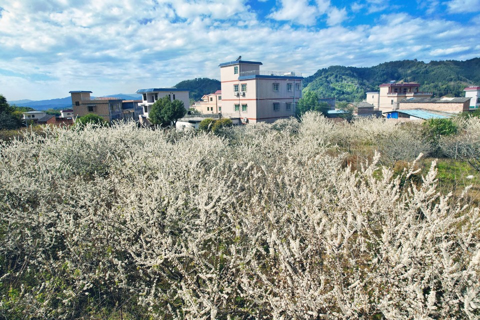 MVv6zG5TlFx2DucytTnLI3UzZzwZdCdF4Gs-21WsEeB9lMbF2P5KAmzo8RR7DaRB