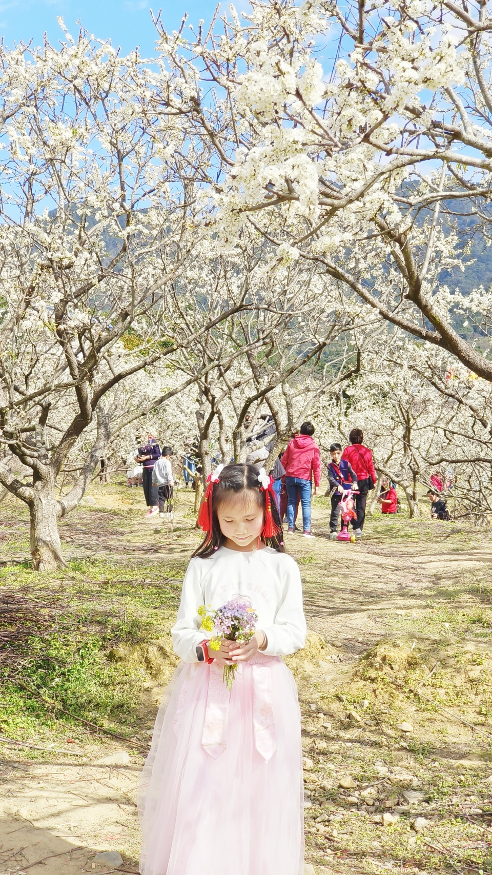 MVv6zG5TlFx2DucytTnLIzjwMgU4dxYcY-LBP5C3cd3RXTiOic8kmymZ1Ij0uI_i