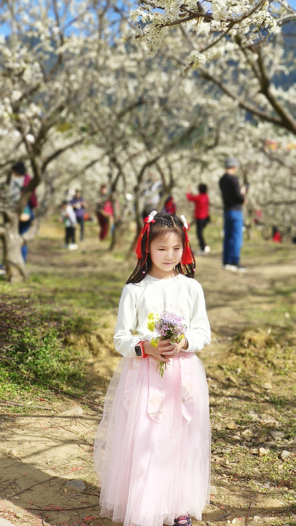 MVv6zG5TlFx2DucytTnLI1Fonv5gNHgGv3-U1bQdYOpPHtDZTqjE4HL3PAHqRQbL