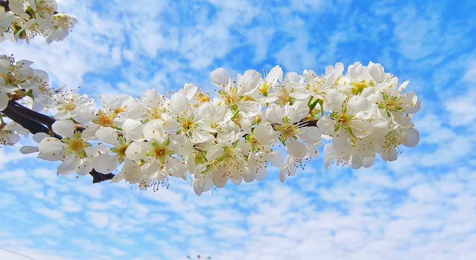 MVv6zG5TlFx2DucytTnLIzjQIA-NbFK2ebKq1zrRnvxvBPtbjL7uXaWMB0xHVWwH