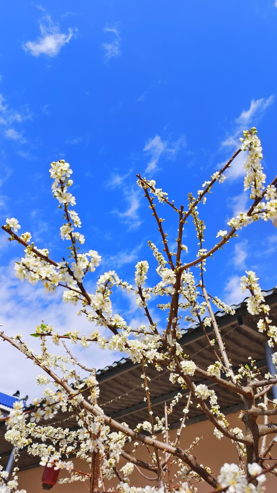 MVv6zG5TlFx2DucytTnLI_wwHaEdNRlaGdf6pt2JuCISJBojN4icjksngId2WVhP