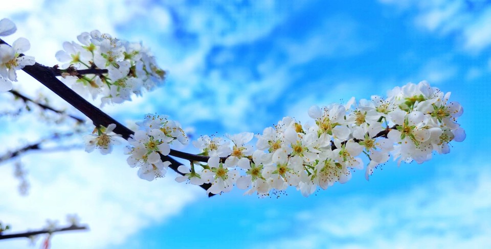 MVv6zG5TlFx2DucytTnLI_U3_A57bES3C4VeBTLjf3wtMCYVsqbe22XszwoSqfPy