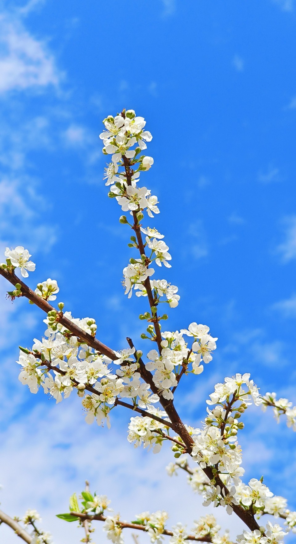 MVv6zG5TlFx2DucytTnLI8SgUYvc8hsqQkwpDM4ZqXVPdzZaRBrQVvmtCkp7N7Wj