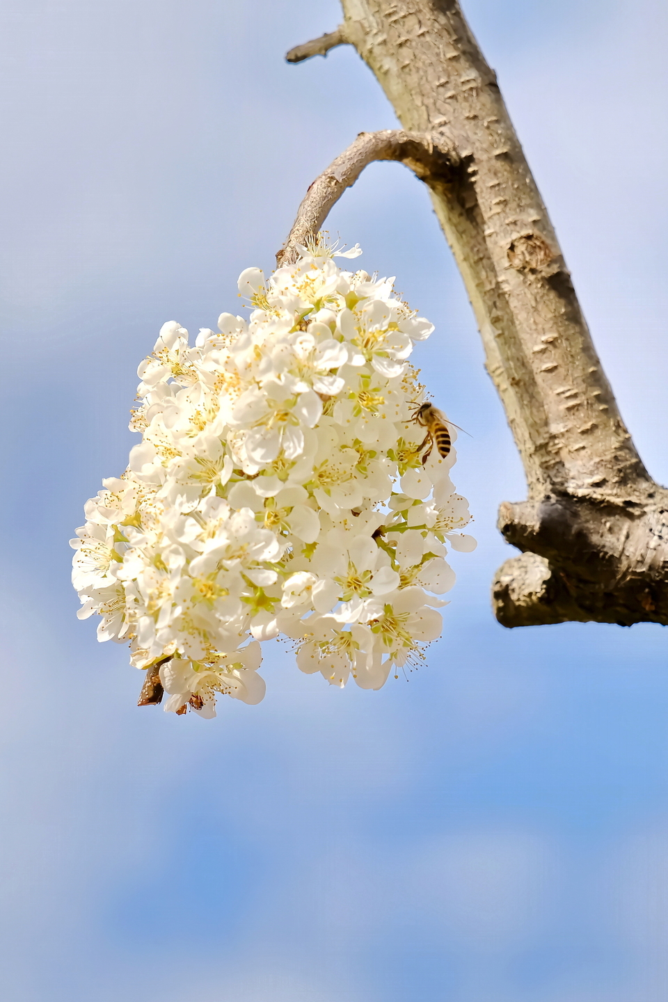 MVv6zG5TlFx2DucytTnLIxV9cX-oi9tRXgMiVvhWGqxoHg-8ROPlT0anK3MCMTwE