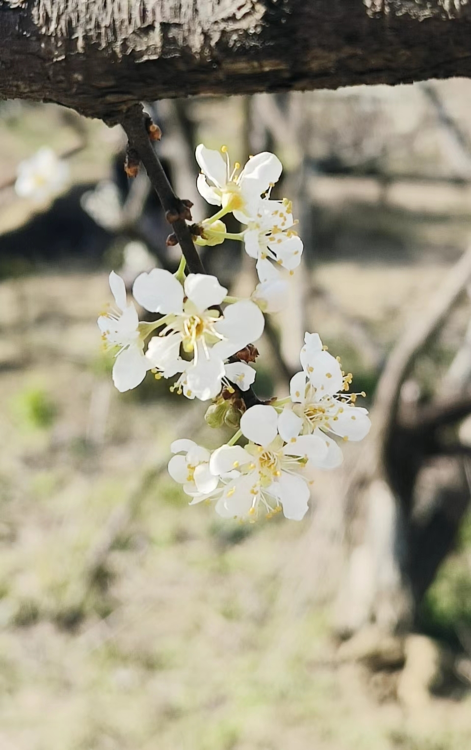 MVv6zG5TlFx2DucytTnLI4H4FPz0qAX01kT4PEr83eph_VC_5kPQYkJO8GPU6649