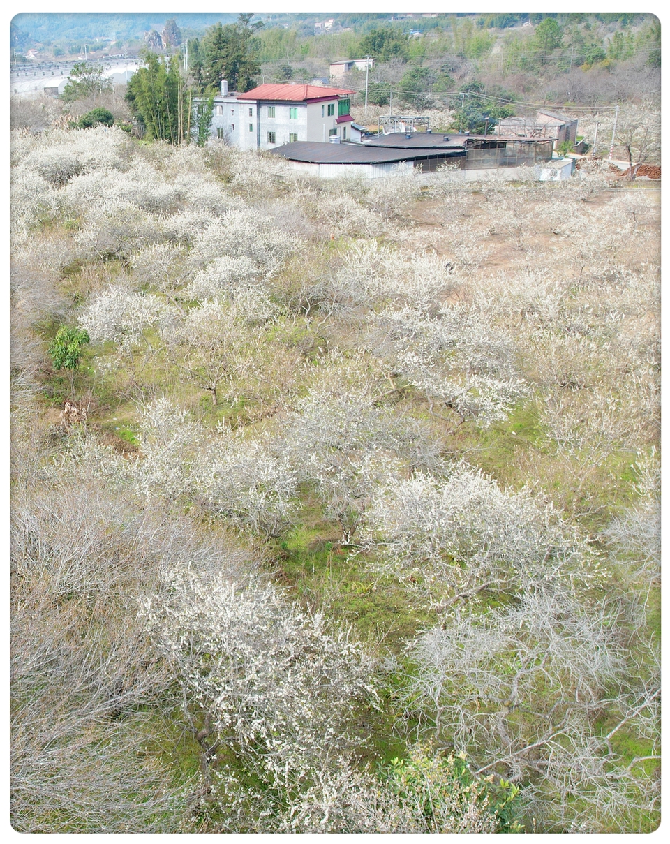 eN_YLQ8YnJvfJ8TCzmZrE1btpzWKSRj6KPjU0K6LHrxWMbv0EMnROv4ZrseMJZmD