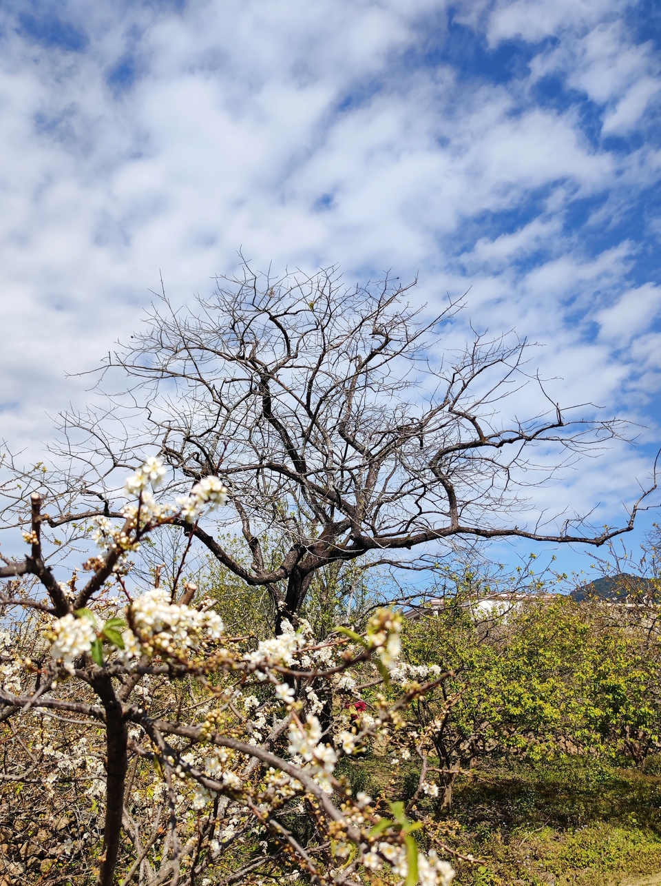 eN_YLQ8YnJvfJ8TCzmZrEwKRgGFE9S79OqFzGqmaan-SpX6YqhVs2xv9tHlBz-R8