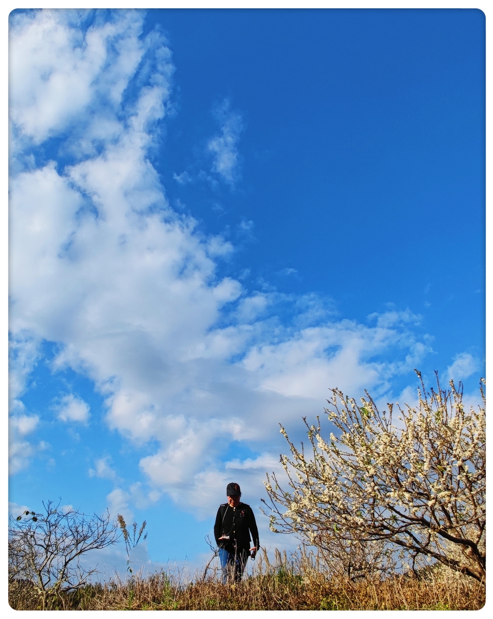 eN_YLQ8YnJvfJ8TCzmZrE-4D7LMv4tCK5DIM1aUSXuQnmjo3MDH-fp8P04GSeKeI