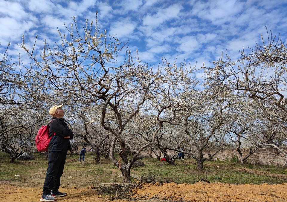 eN_YLQ8YnJvfJ8TCzmZrE3S5P8vys2Wn5JPIa09NBdhPccBqMtpY4KhL80szGAQB