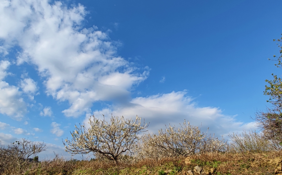 wwJr8JjPZT7To6yhScr6F-5XwWsmADrJ32SRdPKSdirx6L4N3QzdB_mZa8zrRWl_